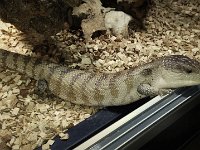 2014#1  #01 Aufnahme: 20.12.2014 : Fotostream