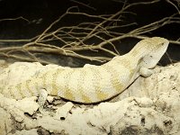 2014#1  #01 Aufnahme: 26.1.2015