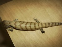 2014#4  #04 Aufnahme: 25.1.2015