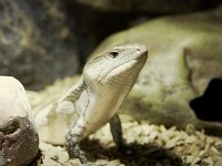 2014#6  #06 Aufnahme: 25.1.2015